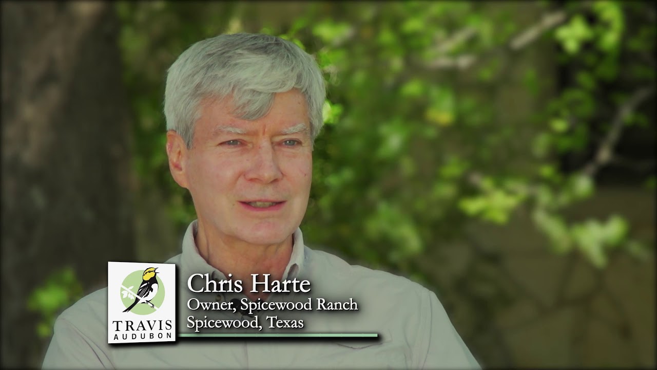 Chris Harte: Conservation Hero
