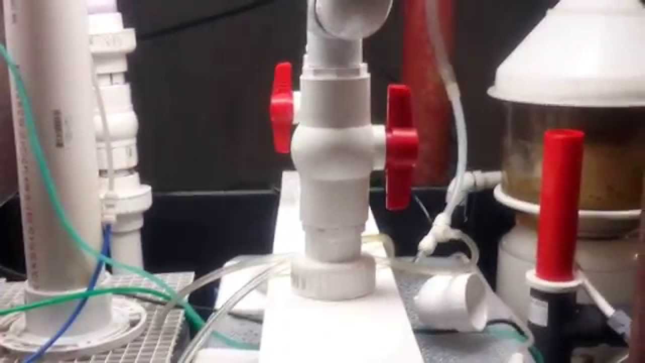Sump, equipment and fish room tour