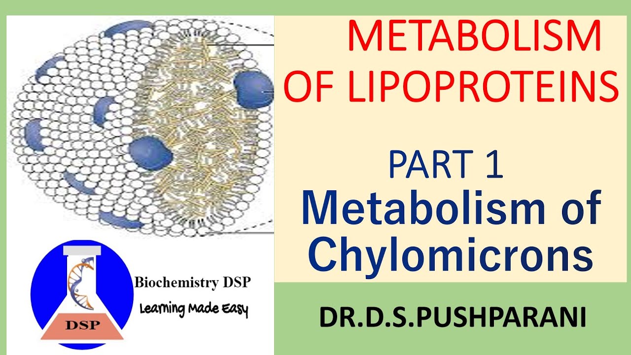 Metabolism of Lipoproteins| Part 1- Metabolism of Chylomicrons| Chylomicrons| #BiochemistryDSP