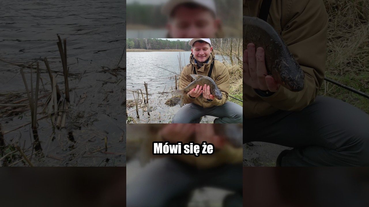 To była PIERWSZA RYBA sezonu #wędkarstwo #leszcz #łowienieryb
