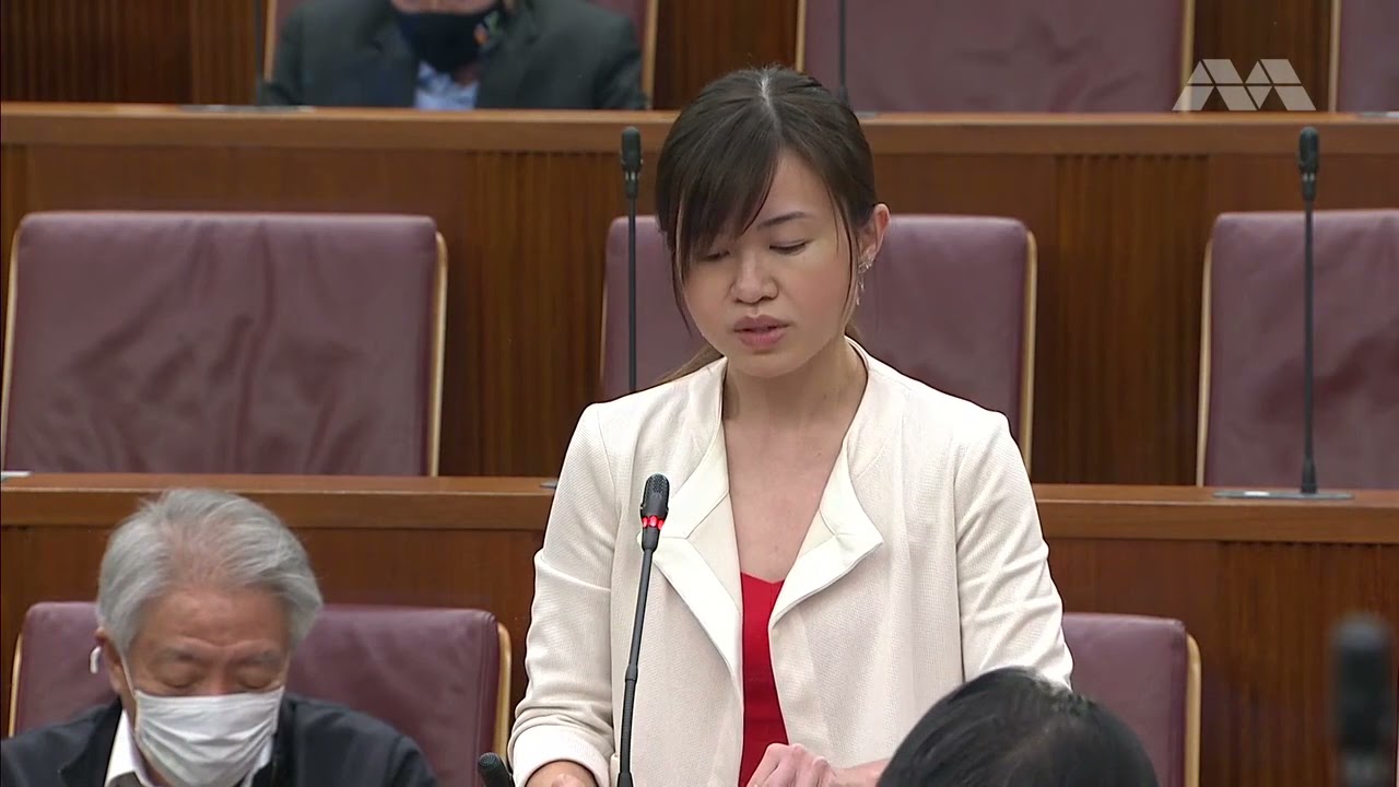 Parliamentary Address 26 Feb 2021 (Part 3)