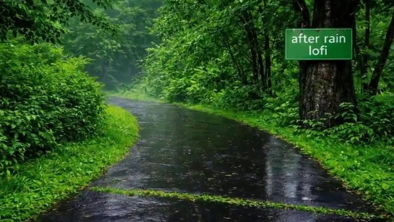 Soft Raindrops Lofi 🌧️ Calm Study & Sleep Music| afterrain lofi