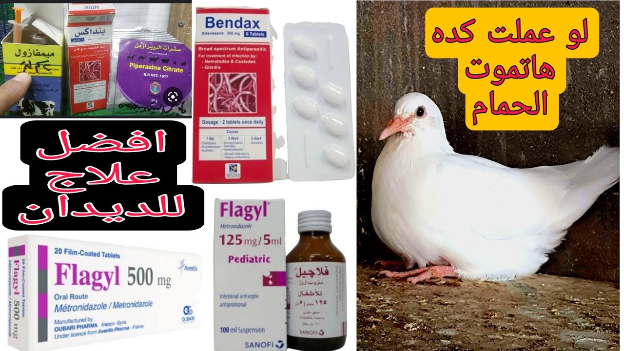 ادوية الديدان لها اضرار قاتلة لو استخدمتها كده
