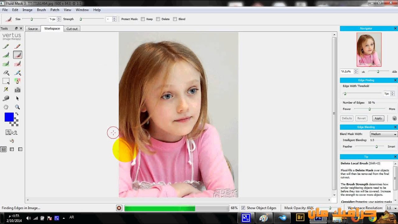شرح مبسط استخدام فلتر القص الاحترافي Vertus Fluid Mask 3 v3.0.10