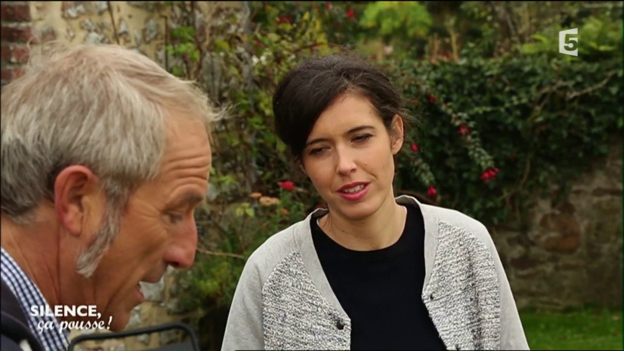 Conseils pratiques : planter un cyclamène - Silence, ça pousse !