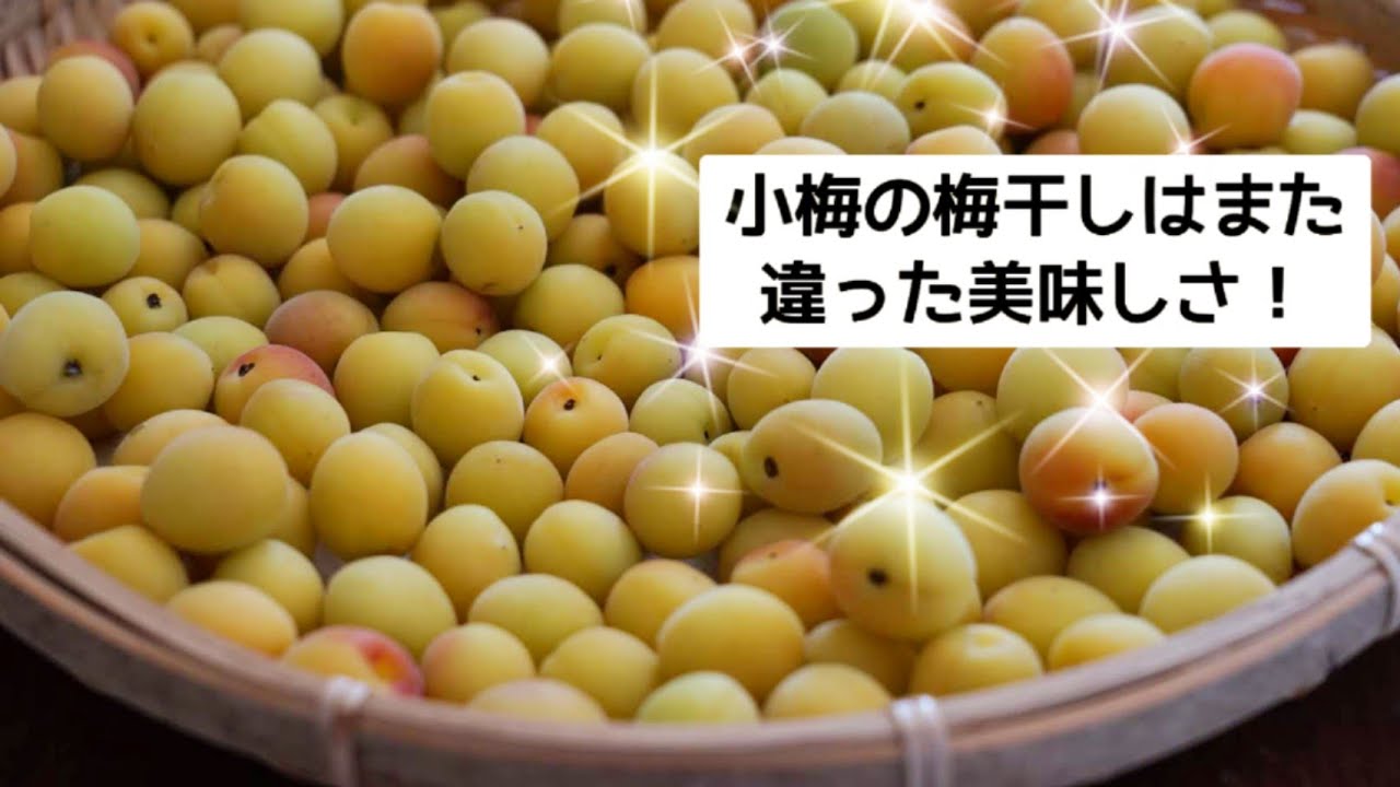 【小梅の梅干し】の作り方