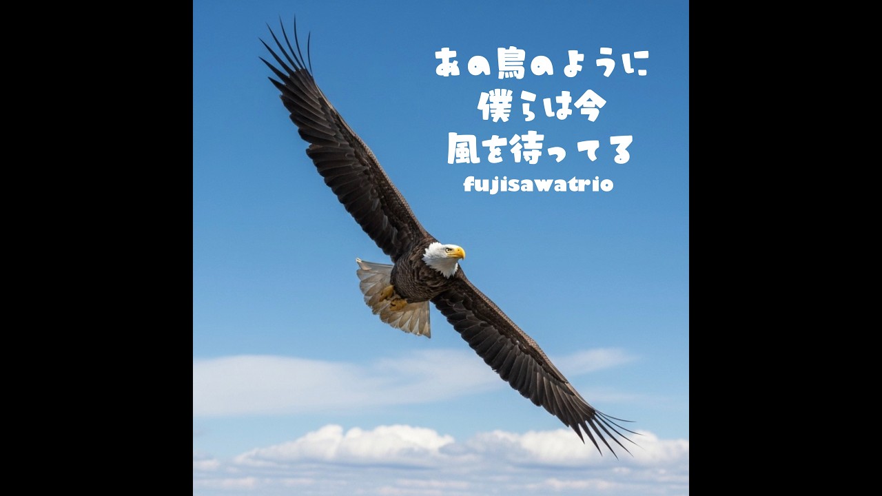 あの鳥のように僕らは今風を待ってる 🦅 Suno v5