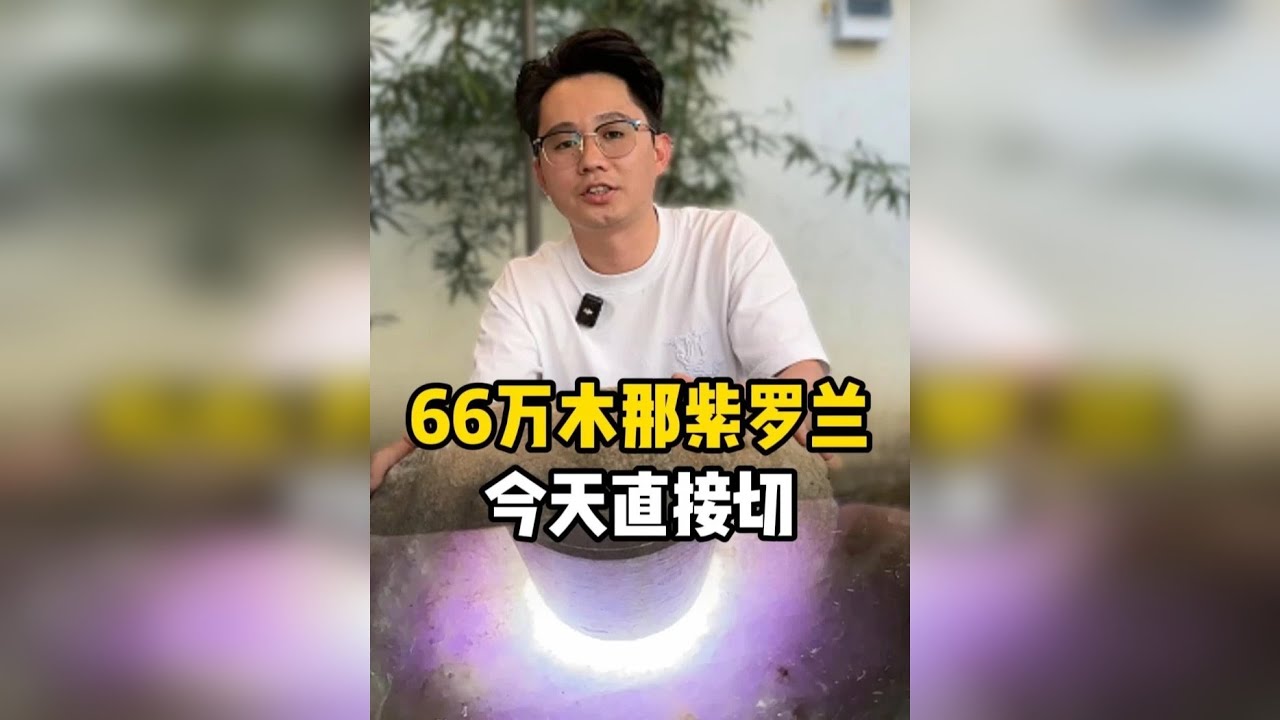 66万的木那紫罗兰能否成为下一块昭仪之星