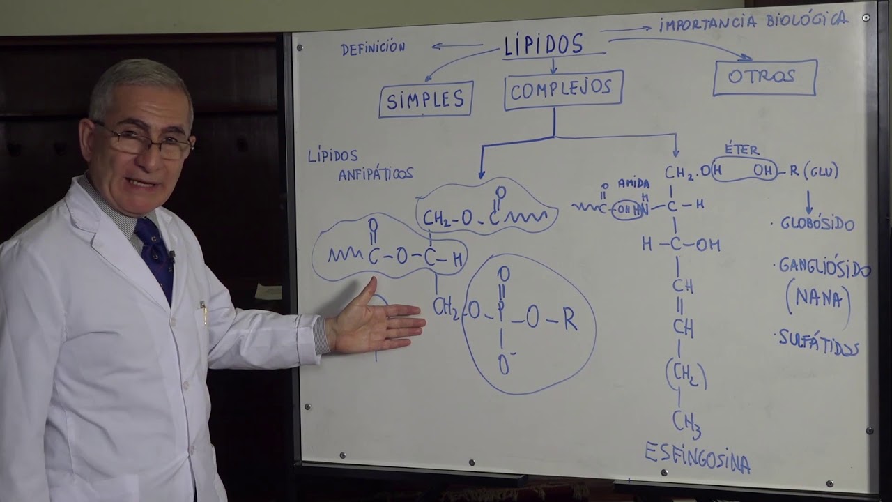 LIPIDOS
