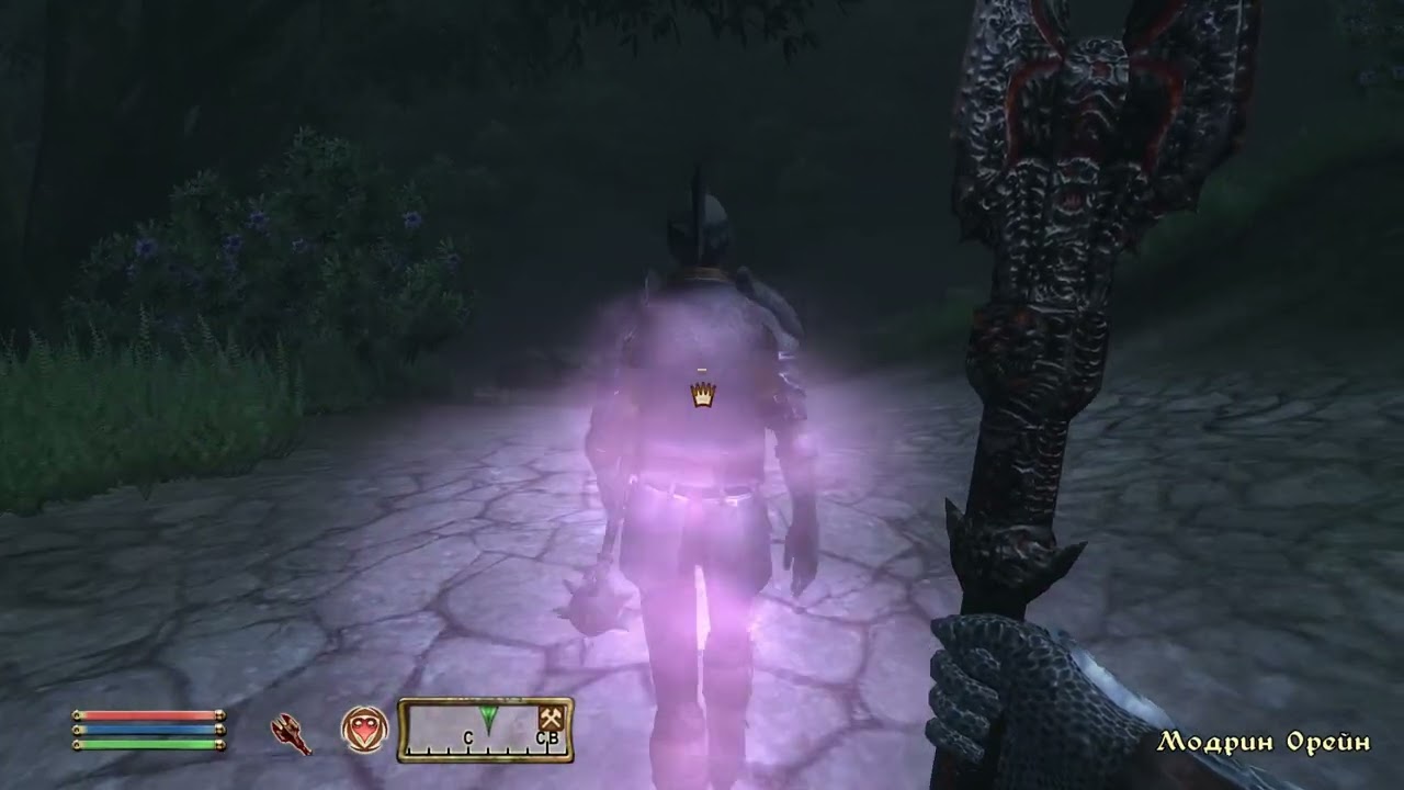 The Elder Scrolls IV: Oblivion - 166 часть Азани Черное Сердце, Графин Ньюхейма