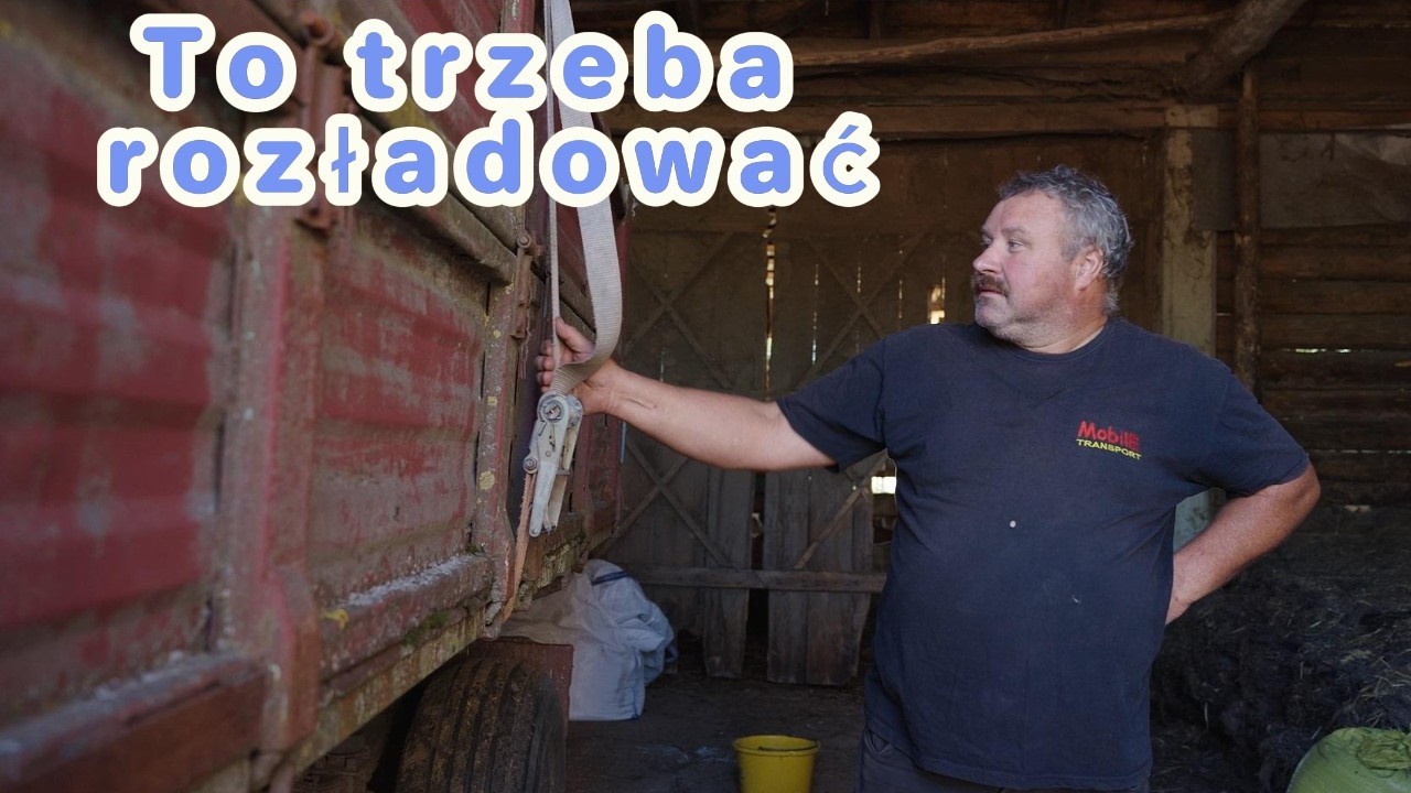 Rozładowywanie przyczepy po żniwach w Borowskich Ciborach czy dojdzie do sprzeczki ojca z synem