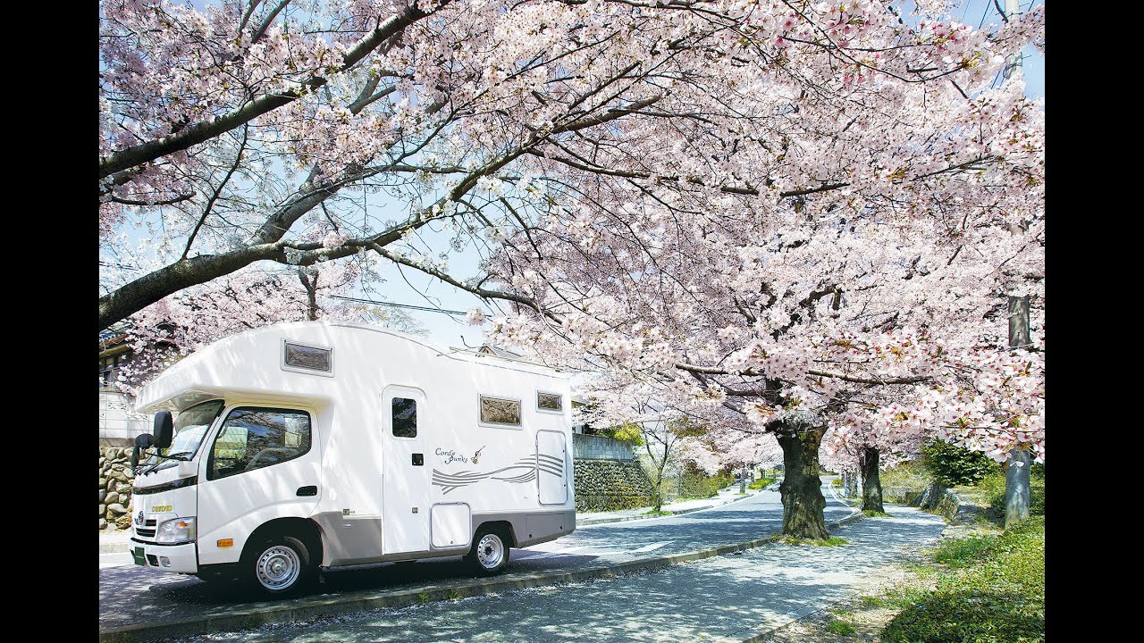 NEW JAPANESE CAMPER CORDE BUNKS