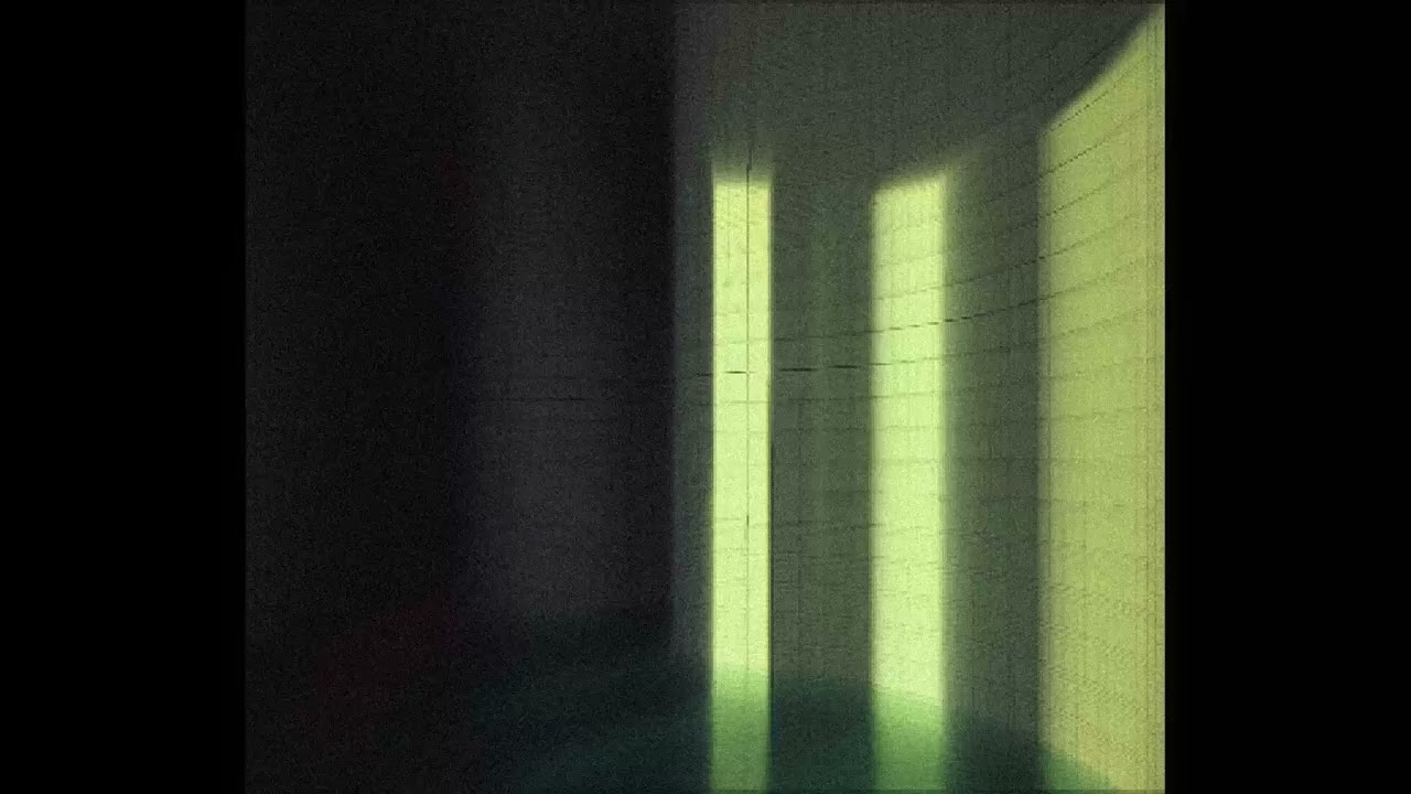 theresnograssonthewalk.mp4