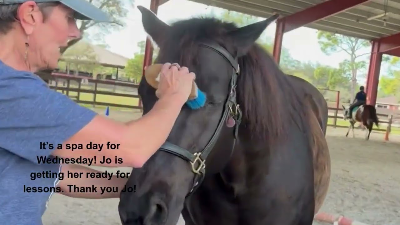 Wednesday groomed! 1080p