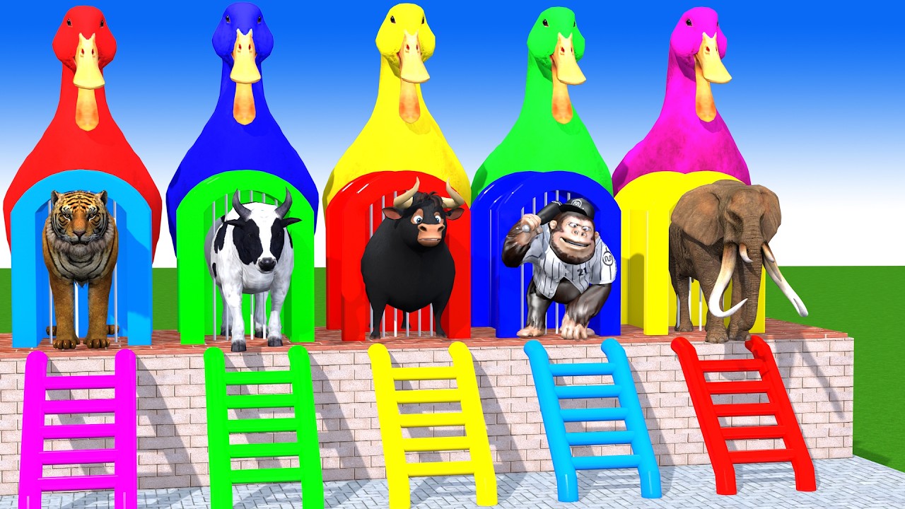 Long Slide Game With Cow Elephant Gorilla Hippopotamus Tiger 3d Animal Game Funny 3d Animals