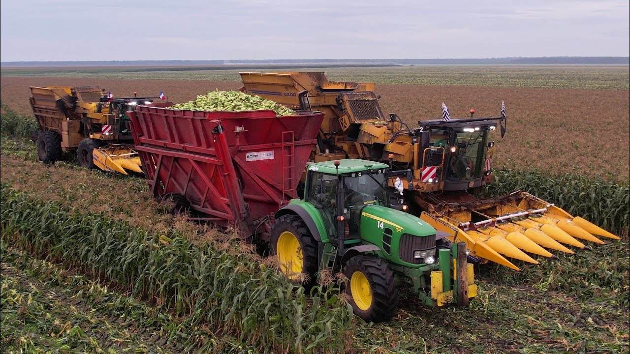 🌽 Ramassage du Maïs doux ! [ Oxbo 6 rangs et John Deere 7530 Premium ] 🌽