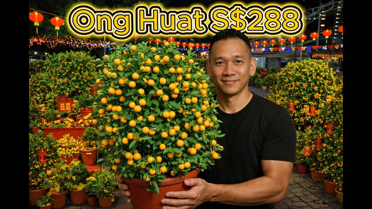Night Walk//Panu Bingare ada Lime Tree/Ong Huat Horse Year