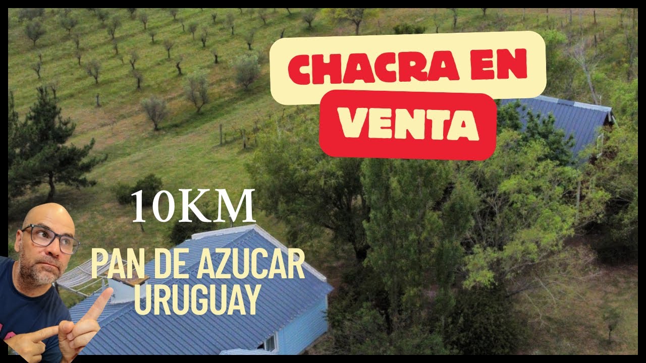 Chacra Soñada entre Olivos y Viñedos a 10 km de Pan de Azúcar | Paz, Naturaleza y Estilo de Vida