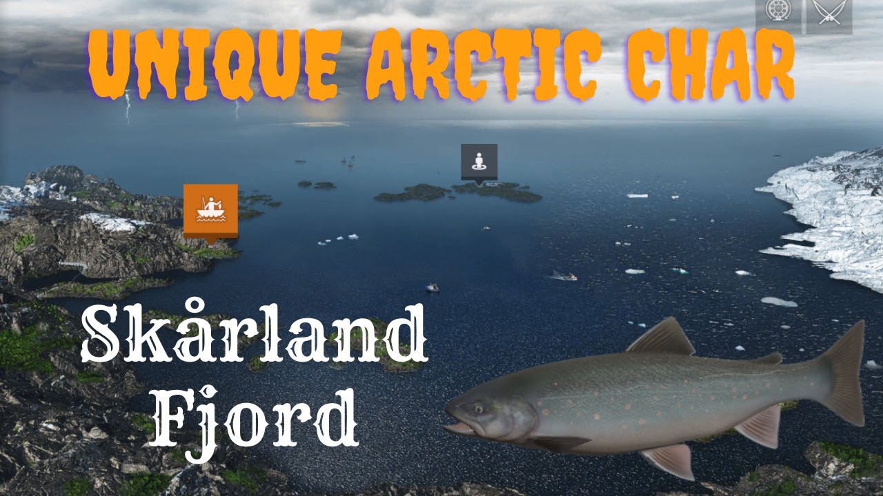 Unique Arctic Char | Skårland Fjord | Fishing Planet
