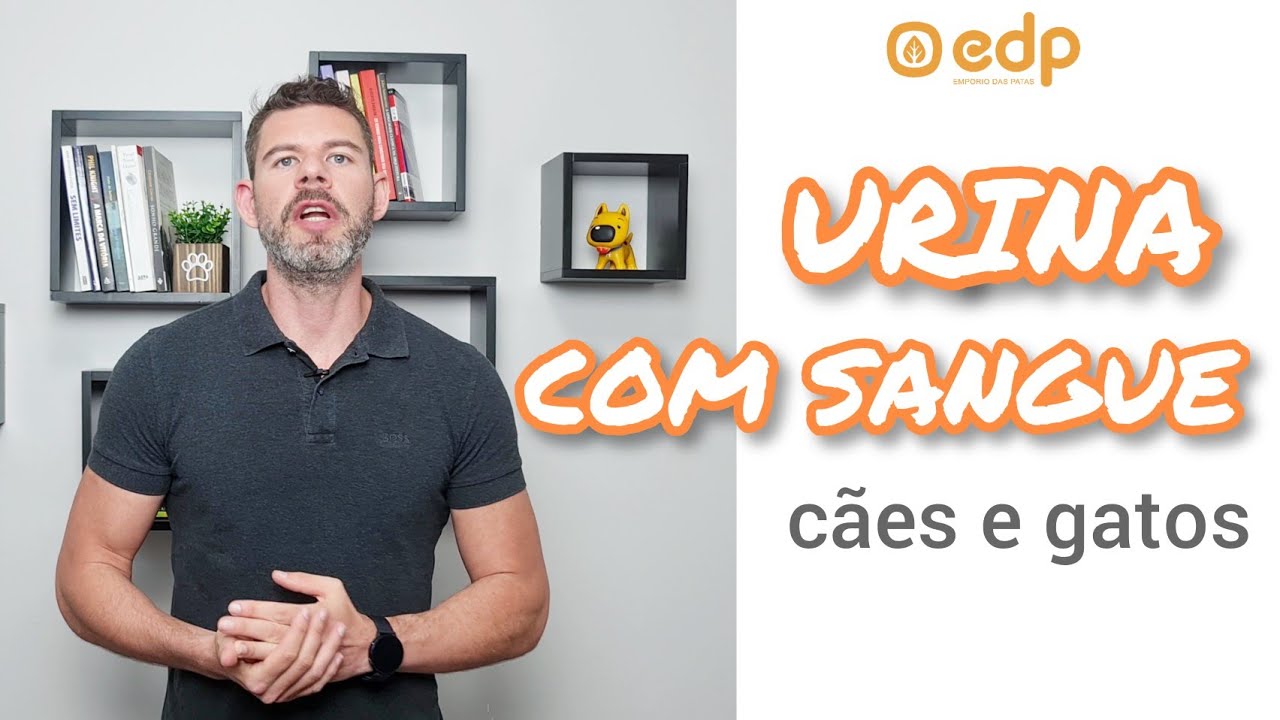 149 | CISTITE, INFECÇÃO URINÁRIA E XIXI COM SANGUE,  CACHORRO E GATO COM URINA VERMELHA, ESCURA