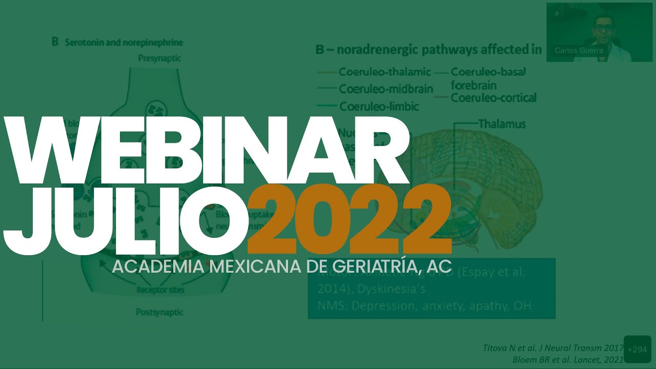 Webinar 