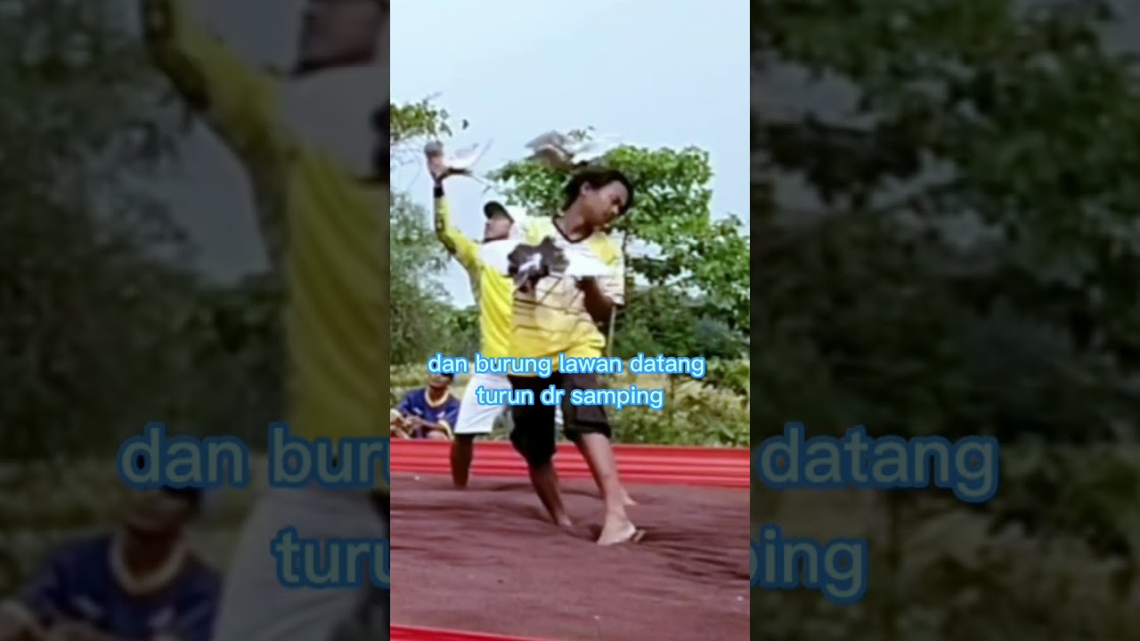 Atur Strategi Ala Mas Juned Kenwood #shorts #uukmerpati