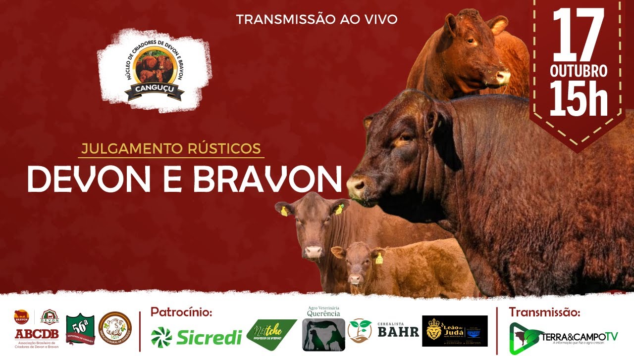 JULGAMENTO RÚSTICOS DA RAÇA DEVON E BRAVON | TODAS AS CATEGORIAS - 56ª Expofeira de Canguçu