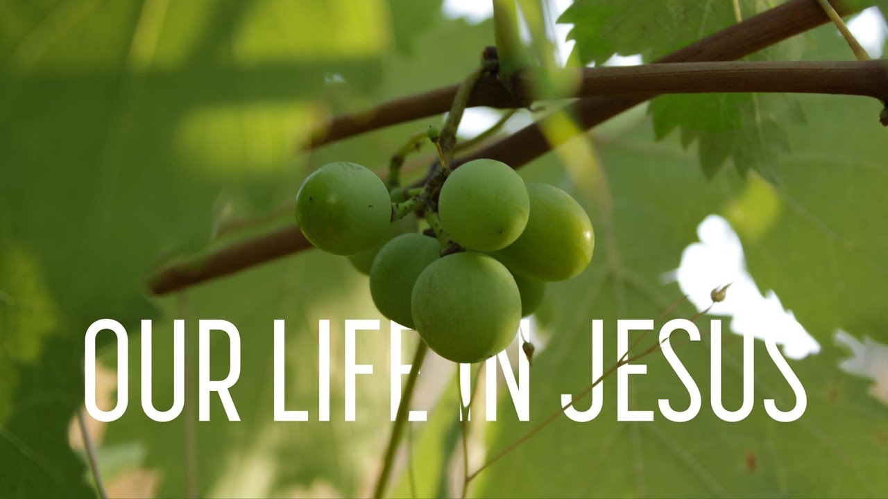 Our Life with Jesus - Sunday 10AM