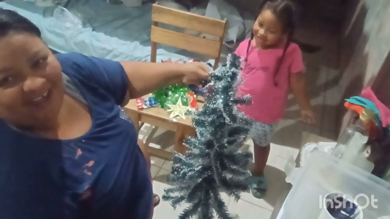 Hoje foi dia de montar nossa árvore 🌲 de Natal só gratidão a Deus por tudo em nossas vidas 🙏