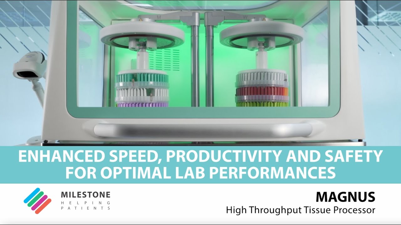 MAGNUS High Throughput Tissue Processor