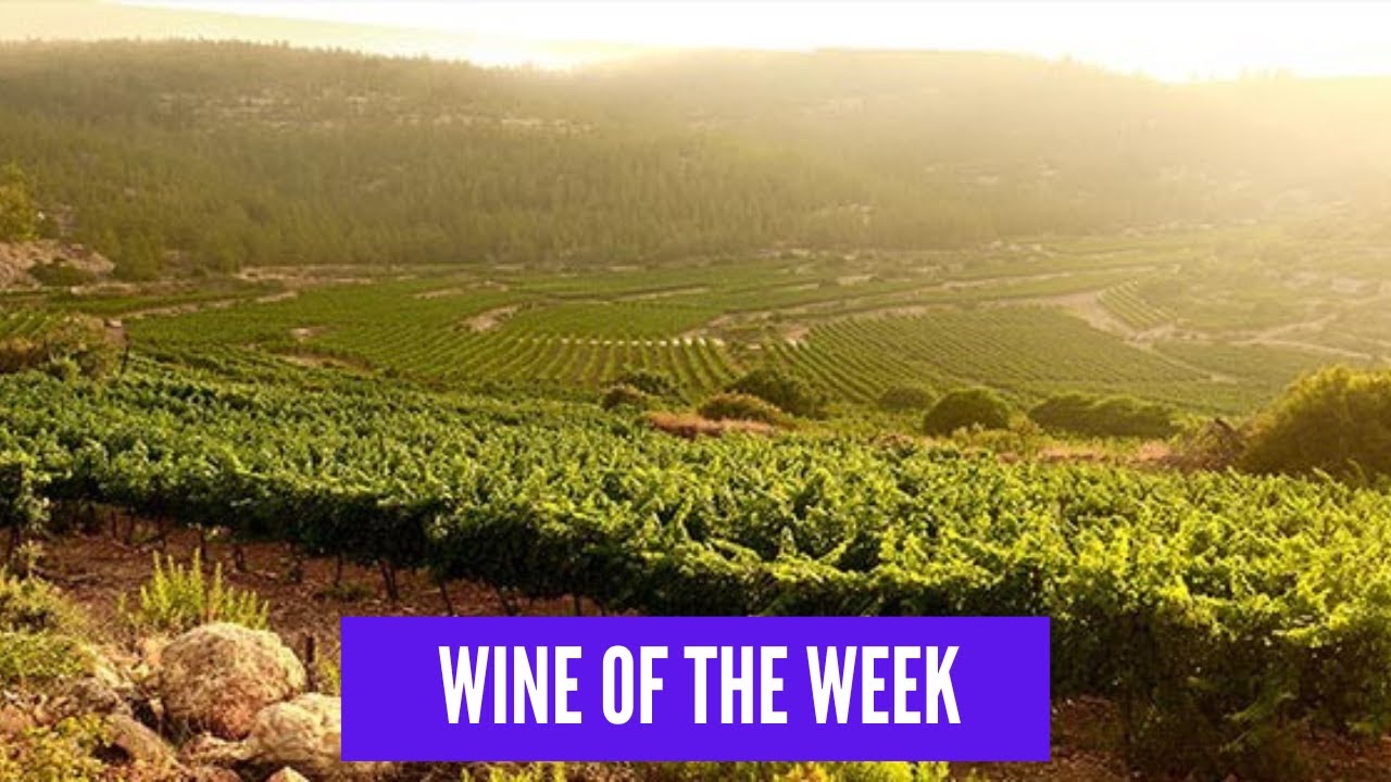 Wine of the Week - Barkan Winery