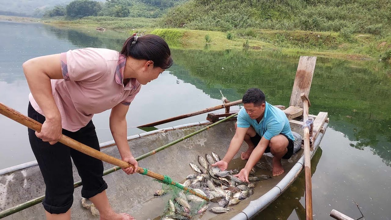 Couple leaves city for countryside, builds house on water - scavenging for seafood to survive.