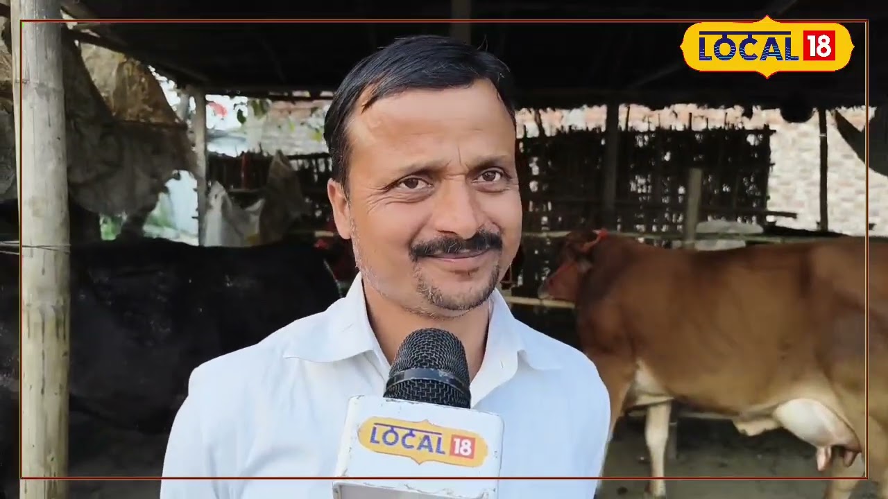 40,000 से 1.5 लाख कीमत, दिन में 30 लीटर तक दूध देने की क्षमता, यहां लगता है मवेशी हाट...
