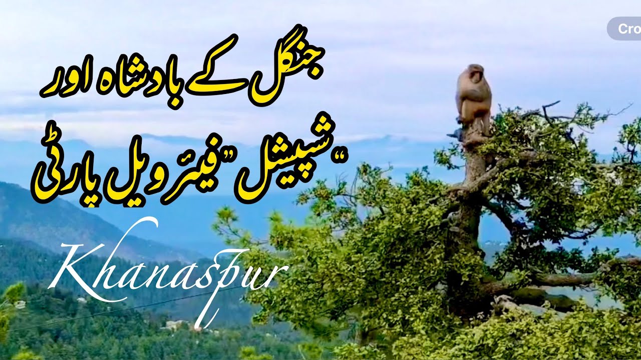 Khanaspur , Ayubia , Murree 