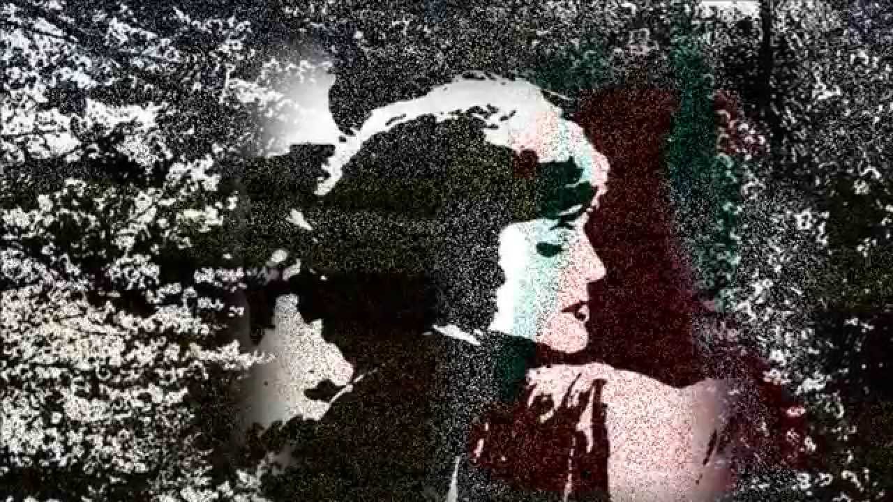 AMÁLIA Rodrigues - LÍRIO ROXO