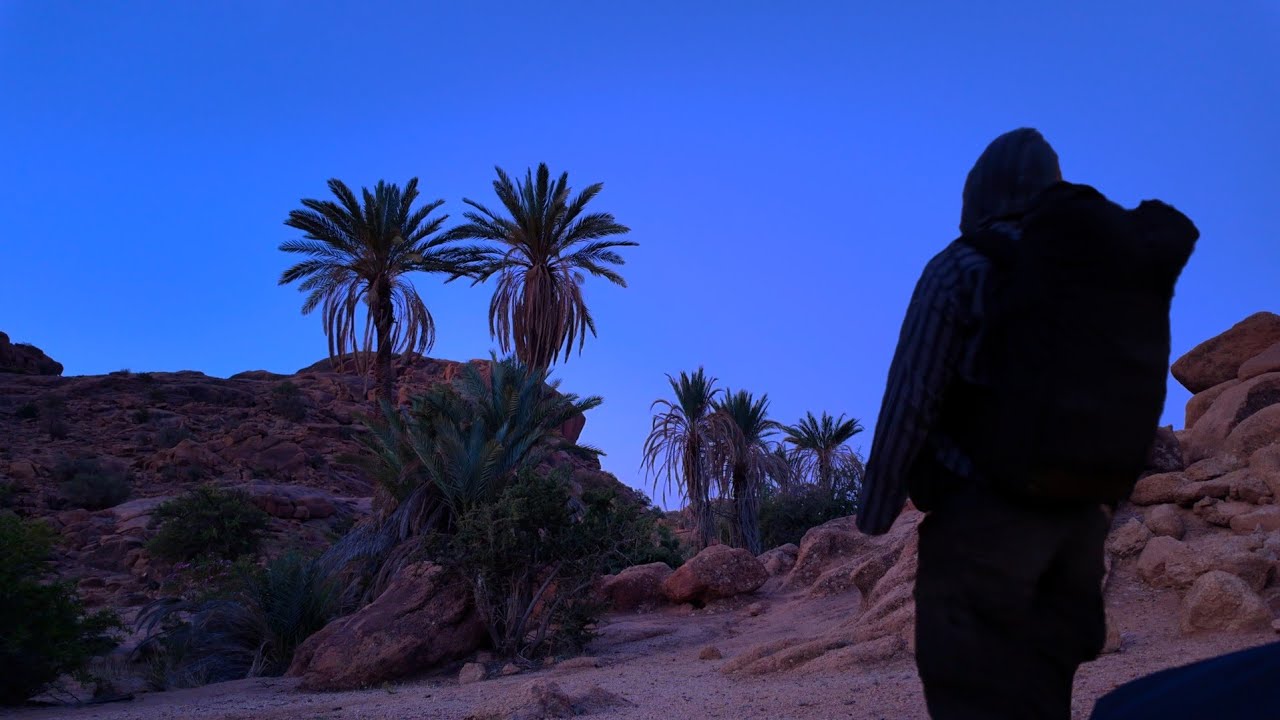Oasis Under The Stars