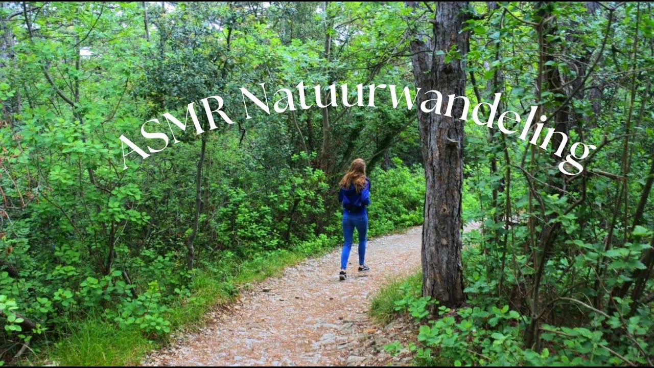 ASMR in dutch ~ op wandel in de natuur 🌿🌳