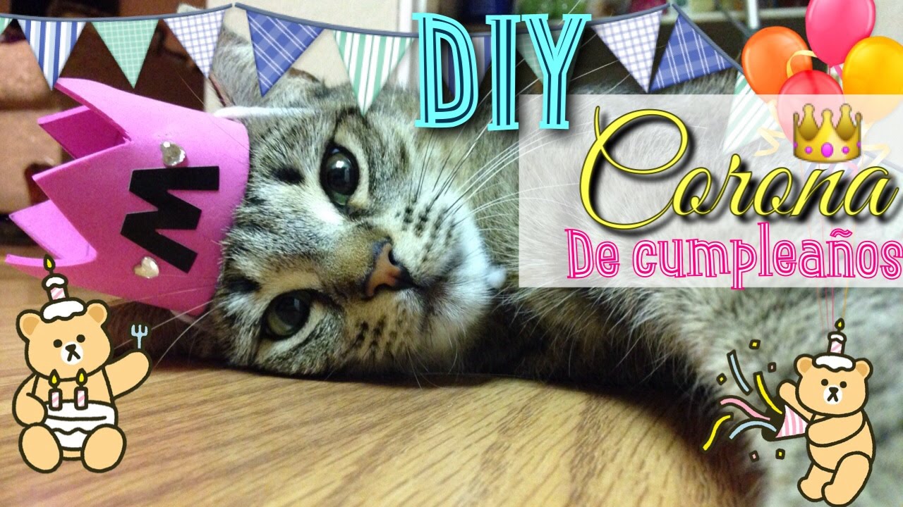 DIY Corona de Cumpleaños para Gatos