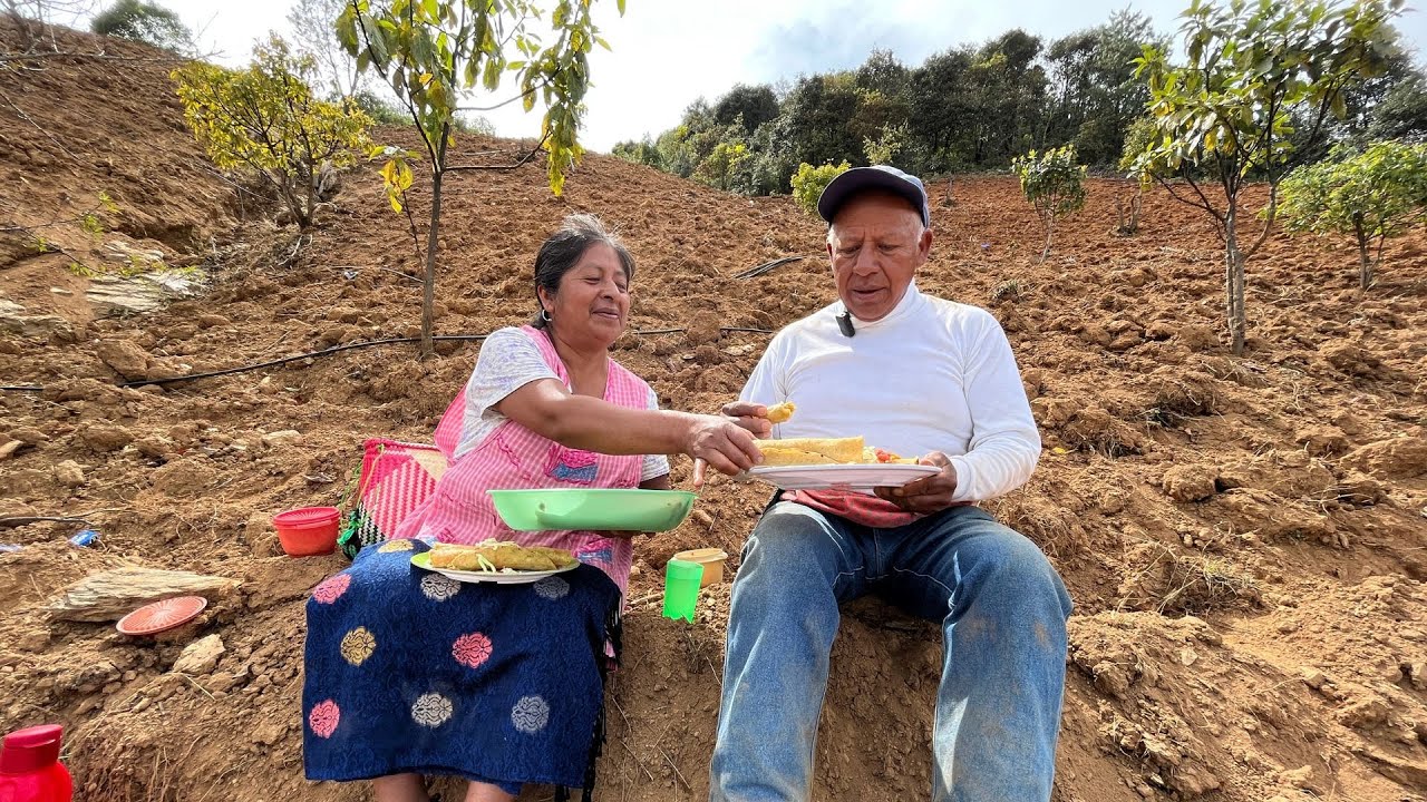 Mi esposo fue a sembrar maíz, le llevo de comer TACOS DORADOS para que comamos juntos en el campo