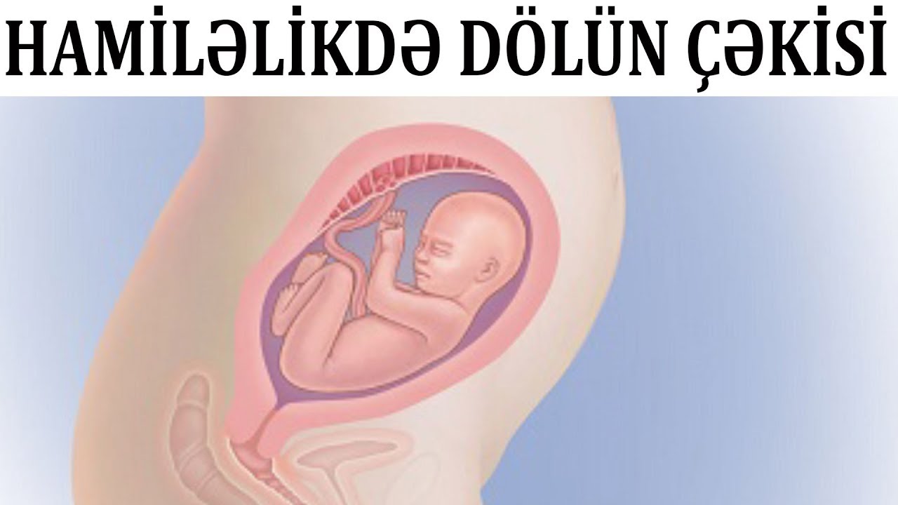 Dölün çəkisi nədən asılıdır? - BUNLARA diqqət edin
