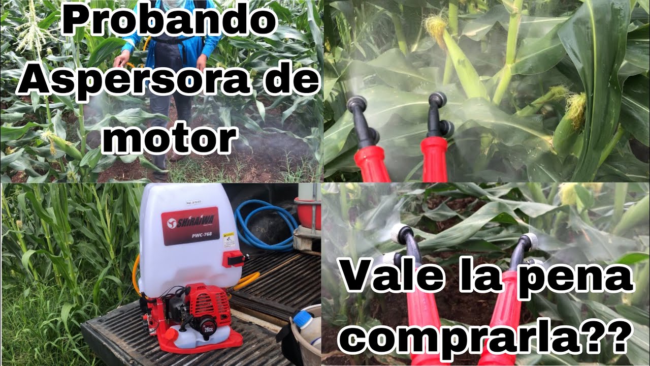 FUMIGANDO LA MILPA CON BOMBA DE MOTOR || ¿QUE TAL FUNCIONÓ // EL AGRONOMO ||