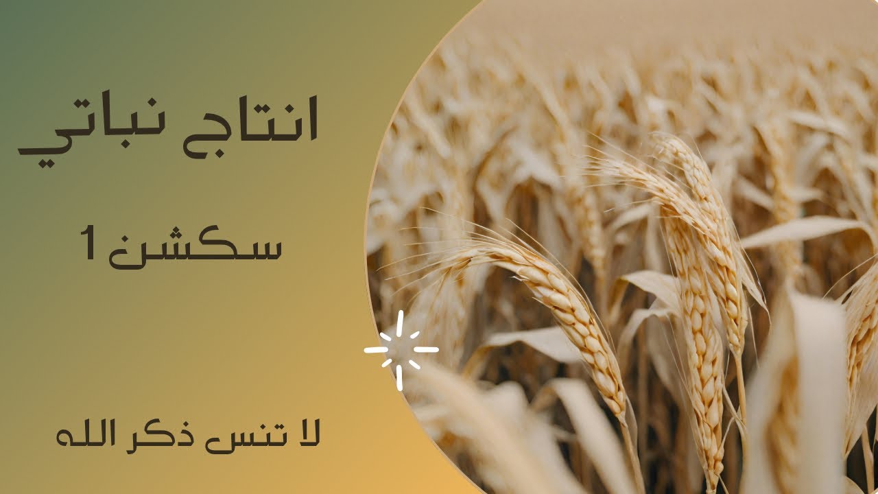 سكشن 1 انتاج نباتي كلية زراعة فرقة اولى.