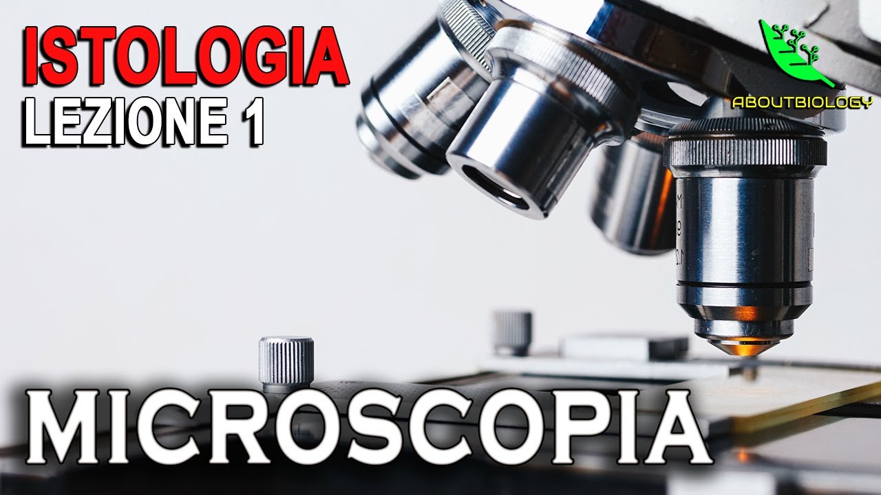 Nozioni FONDAMENTALI di MICROSCOPIA OTTICA    -ISTOLOGIA Lezione 1