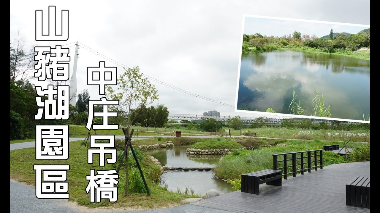 中庄吊橋，山豬湖生態親水園區，馬賽克青蛙，荷花池，山影池，在白色吊橋上看大漢溪河床，大溪景點！