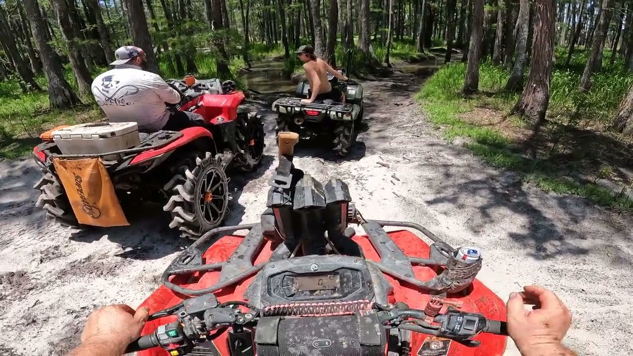 holopaw and gator loop with friends