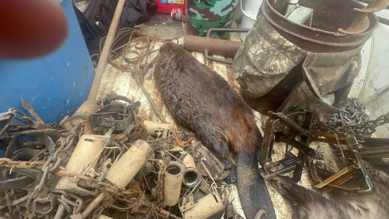 Second BEAVER off the road + Finished it to