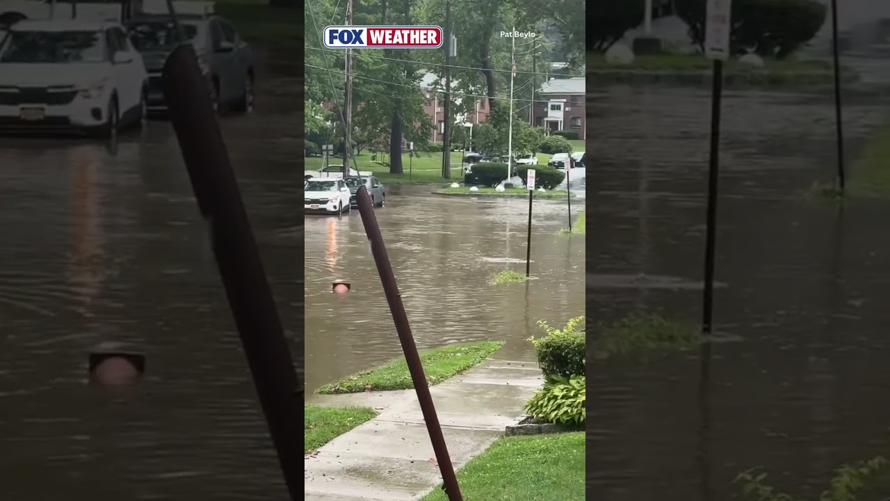 🚗 🌧️WET TRAVELS: A Resident In White Plains, New York, Was Able To Escape Flooding As Heavy Rainfall
