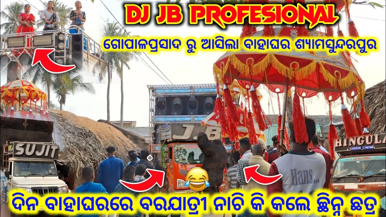ବରଯାତ୍ରୀ ନାଚି କି କଲେ ଛିନ୍ନ ଛତ୍ର ‼️😂 funny gorilla 😂DJ JB PROFESIONAL 🐘 ହାତୀ କଲା ଗର୍ଜନ 💥