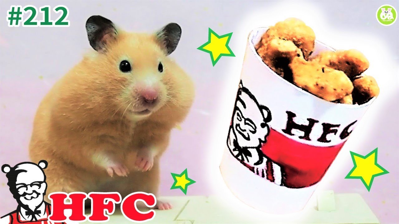ハムスターもケンタッキーを食べたいんや！という願望を叶えてあげてみた。