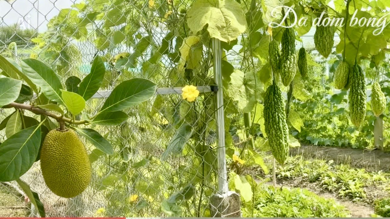 🍃 Clip chill - góc cửa sổ quê nhà thanh bình 🎋